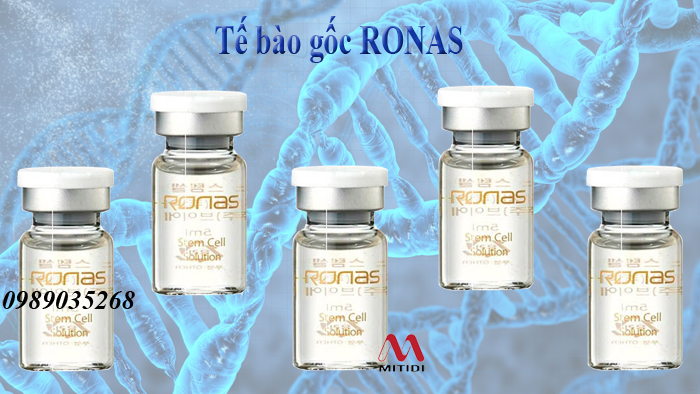 Tế bào gốc Ronas te-bao-goc-ronas-01.jpg (287 KB)
